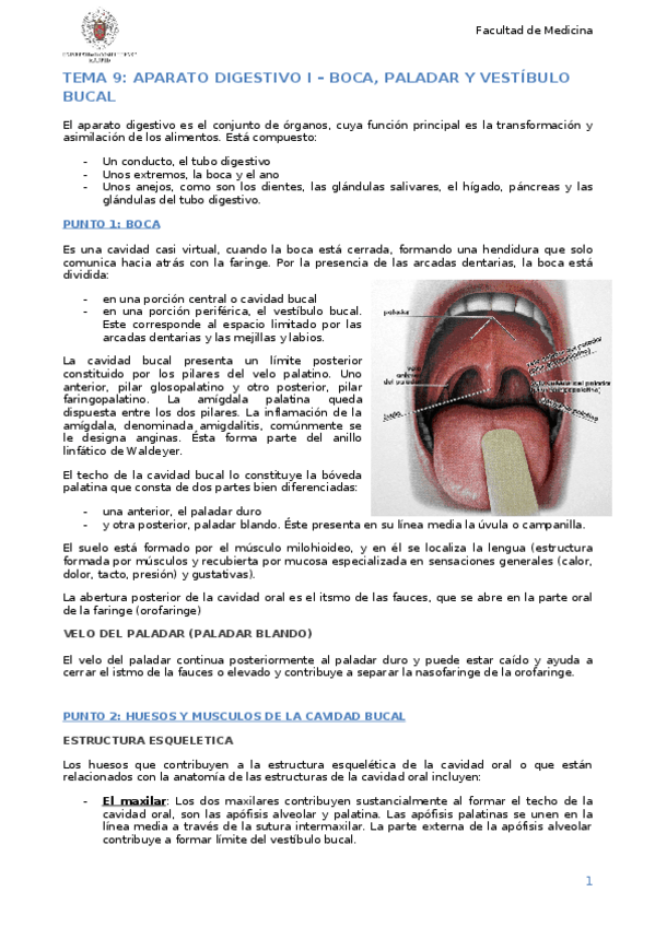 Miniatura del documento Tema 9.docx