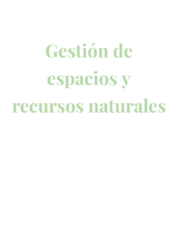 Miniatura del documento TemarioCompletoGerena.pdf