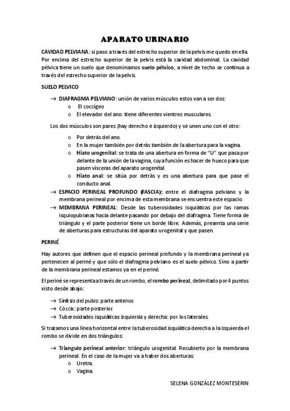 Miniatura del documento APARATO-URINARIO.pdf
