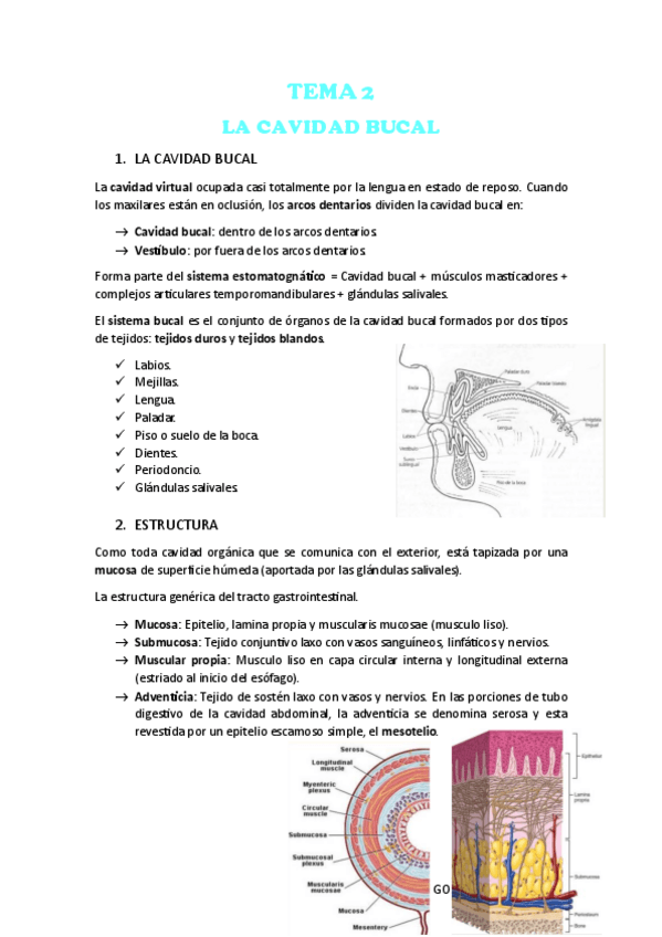 Miniatura del documento Tema-2-HISTOLOGIA.pdf