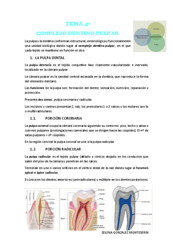 Miniatura del documento Tema-4a-HISTOLOGIA.pdf