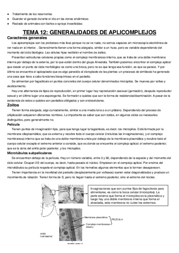 Miniatura del documento Tema-12.pdf