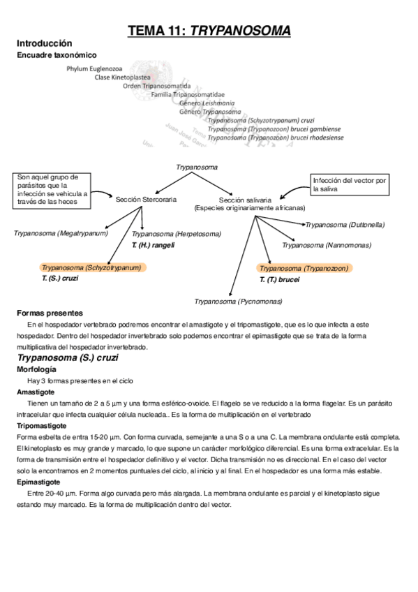Miniatura del documento Tema-11.pdf