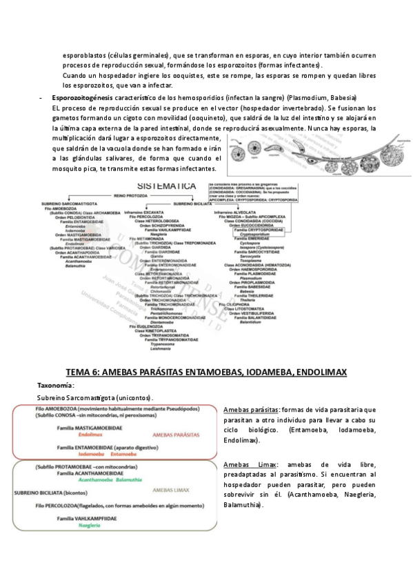 Miniatura del documento TEMA-6.pdf