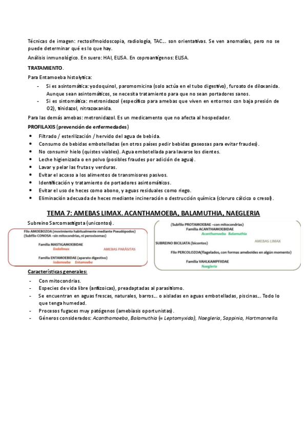 Miniatura del documento TEMA-7.pdf