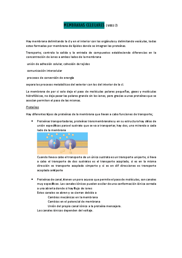Miniatura del documento apuntes-video-2-pdf.pdf