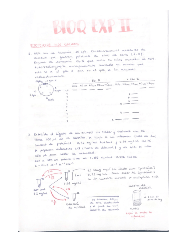 Miniatura del documento EXAMEN-RESUELTO-PARA-SACAR-UN-10.pdf