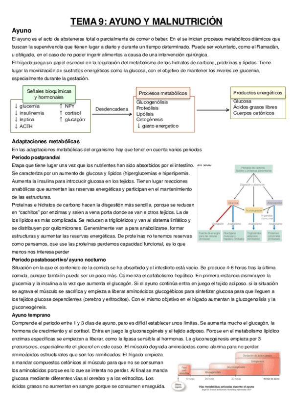 Miniatura del documento Tema-9.pdf