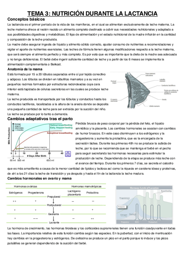 Miniatura del documento Tema-3.pdf