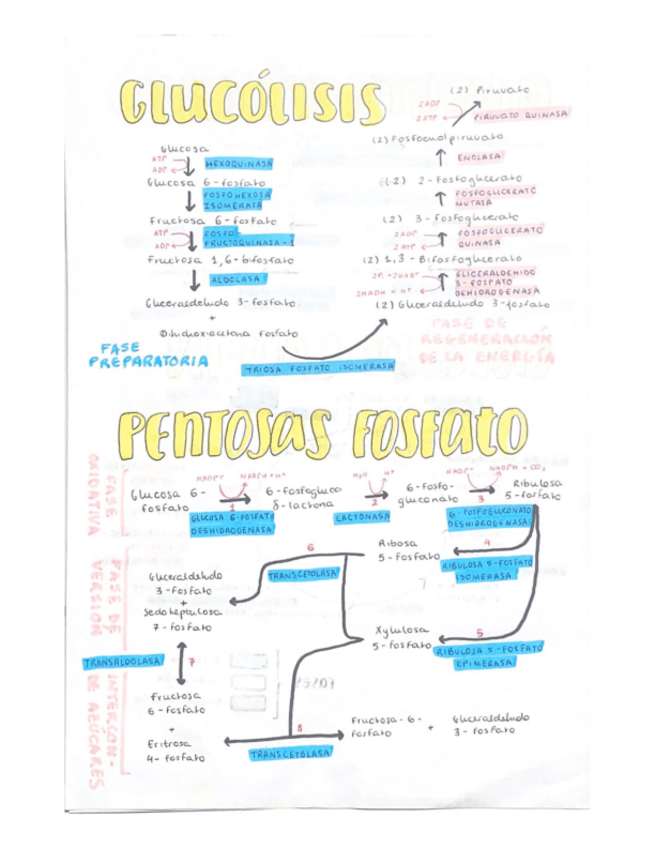 Miniatura del documento Esquemas-faciles-de-todas-las-rutas.pdf