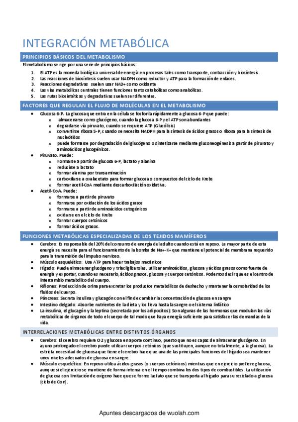 Miniatura del documento wuolah - Integración metabólica.pdf