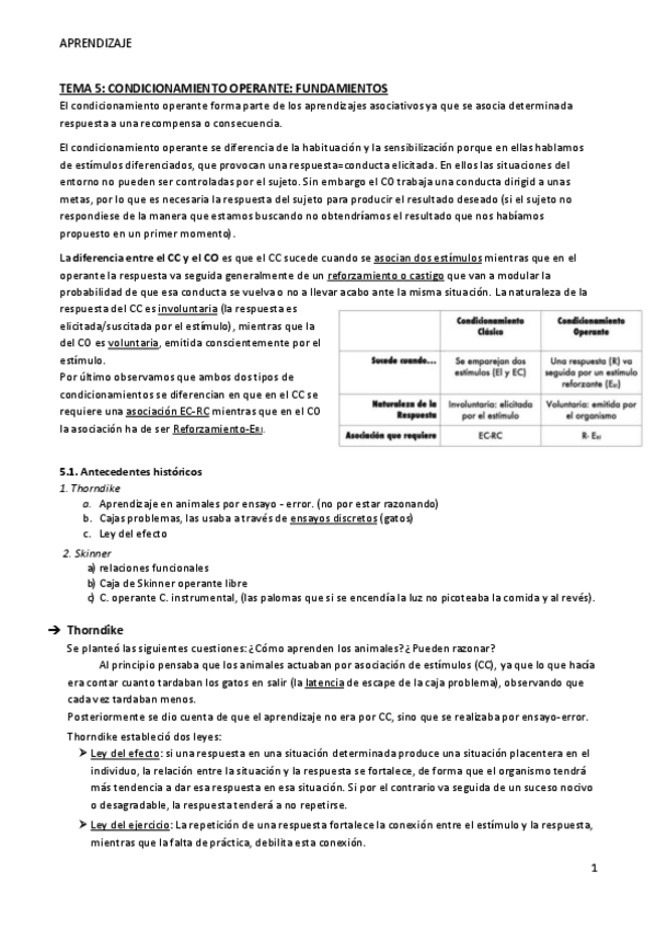 Miniatura del documento TEMA-5-Aprendizaje.pdf