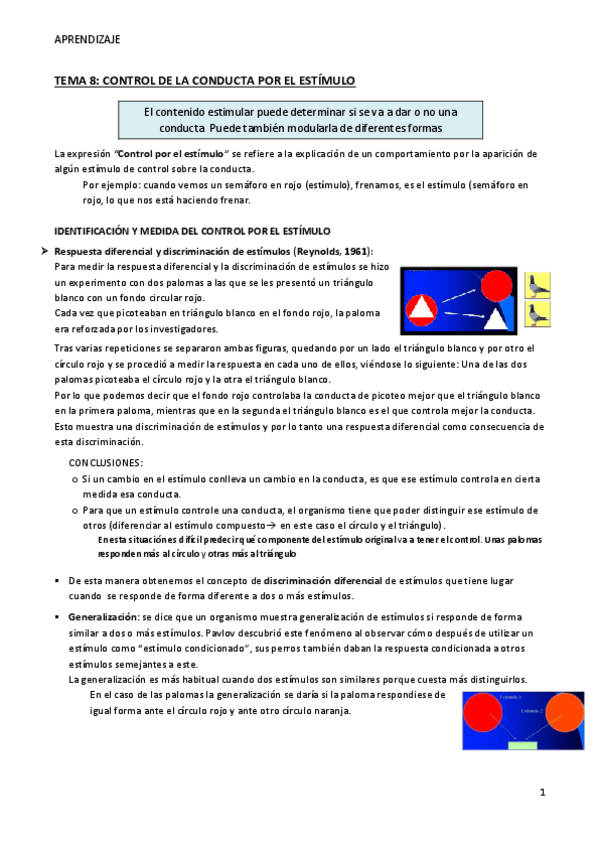 Miniatura del documento TEMA-8-Aprendizaje.pdf