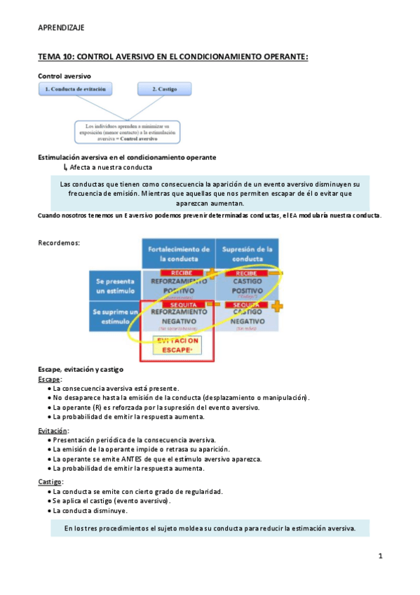 Miniatura del documento TEMA-10-Aprendizaje.pdf