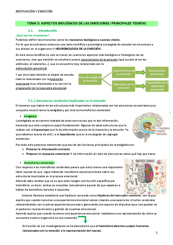 Miniatura del documento Tema-5-Motivacion-y-Emocion.pdf