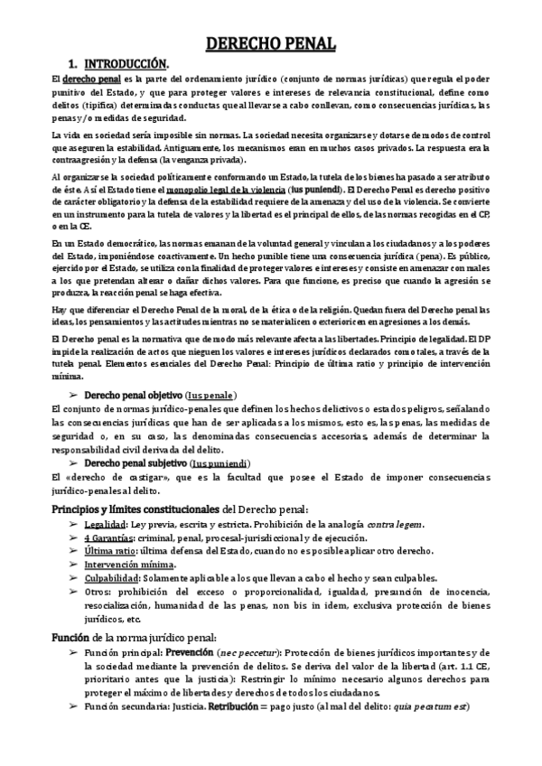Miniatura del documento Teoria-Derecho-Penal.pdf
