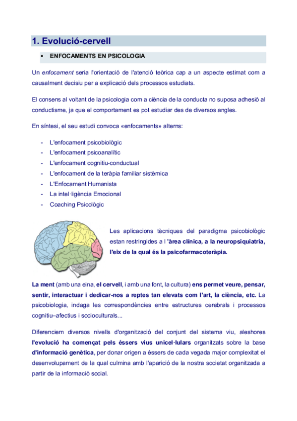 Miniatura del documento Apunts-COMPLETS-BLOC-2.pdf