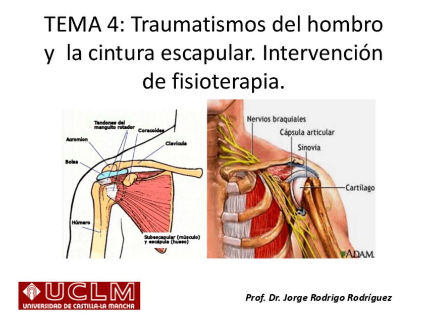 Miniatura del documento 04.-A-Hombro.pdf