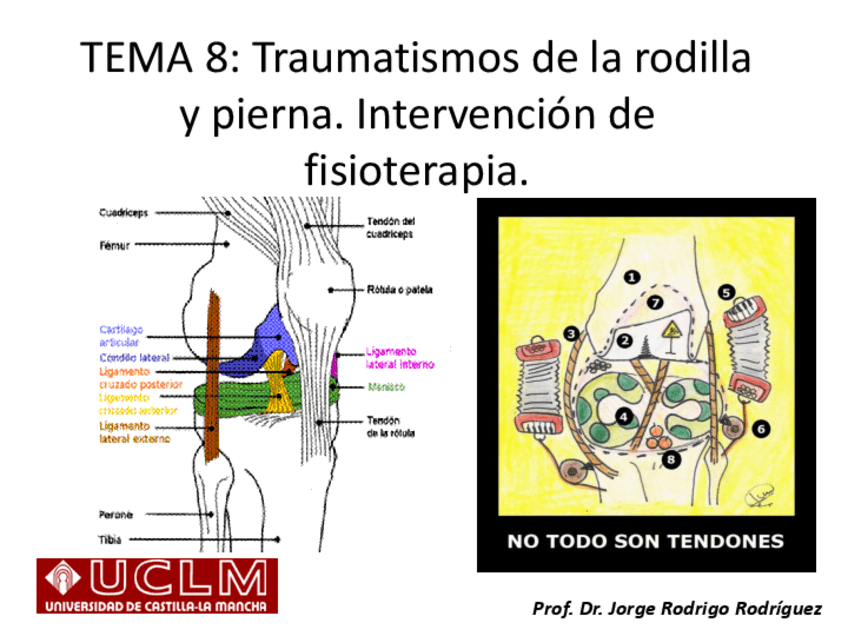 Miniatura del documento 08.-A-Rodilla-y-pierna.pdf