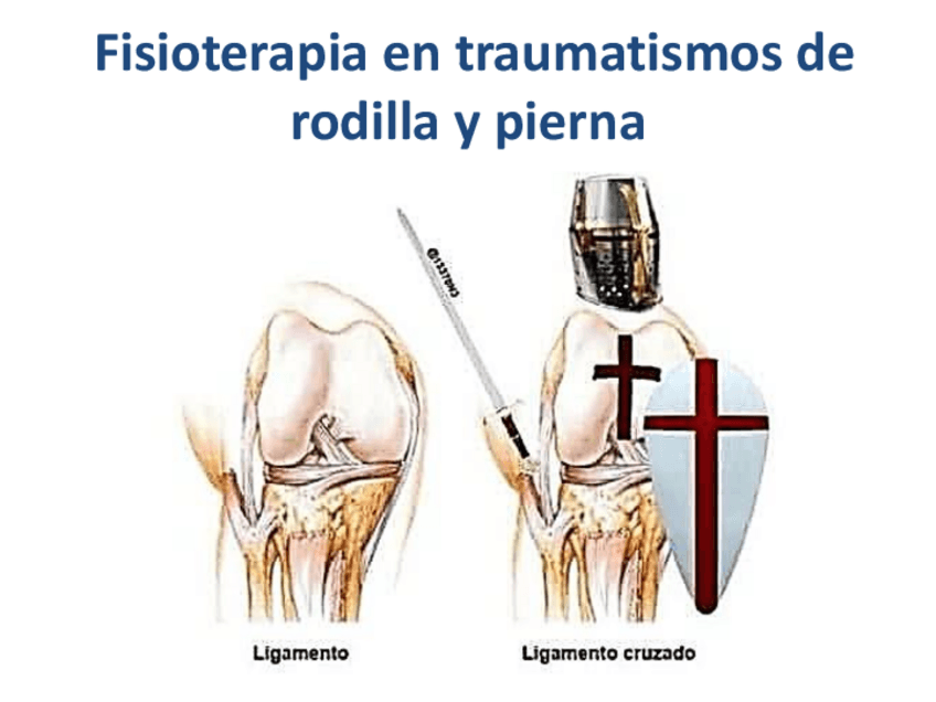 Miniatura del documento 08.-B-FSTR-Rodilla-y-pierna.pdf