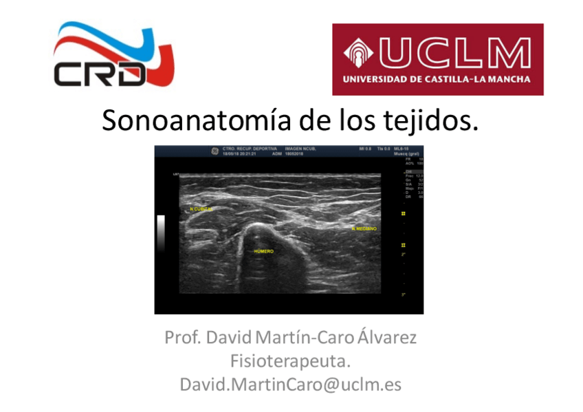 Miniatura del documento Sonoatamomia-de-los-tejidos.pdf