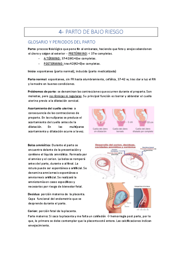 Miniatura del documento TEMA-4-DONA-PARTO-DE-BAJO-RIESGO.pdf