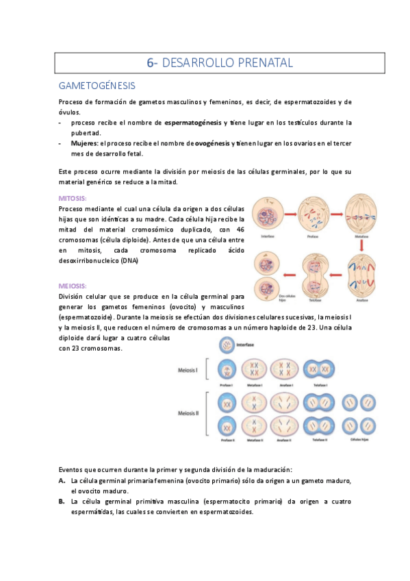 Miniatura del documento TEMA-6-DONA-DESARROLLO-PRENATAL.pdf