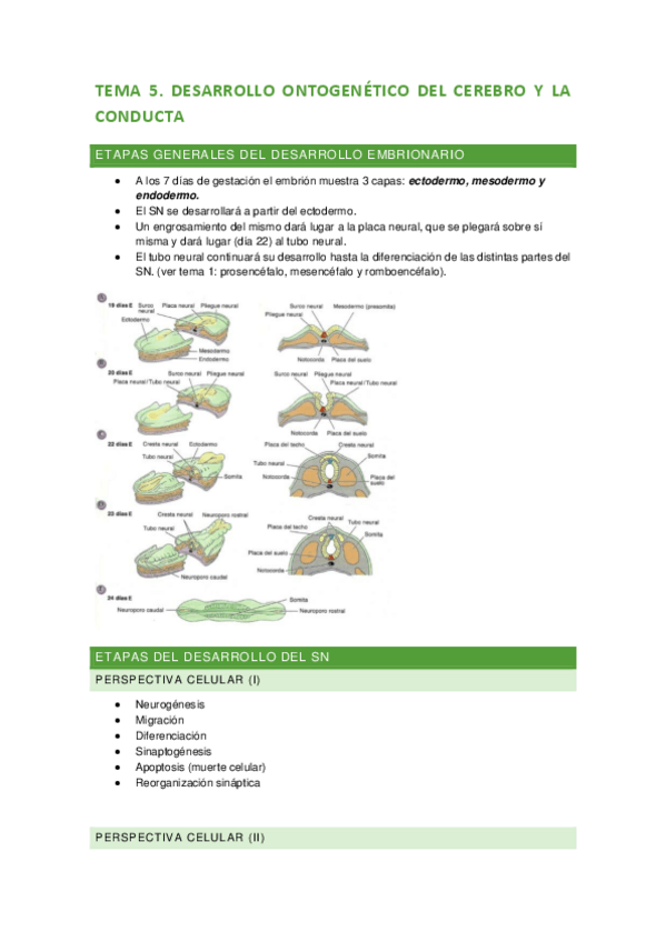 Miniatura del documento Tema-5.pdf