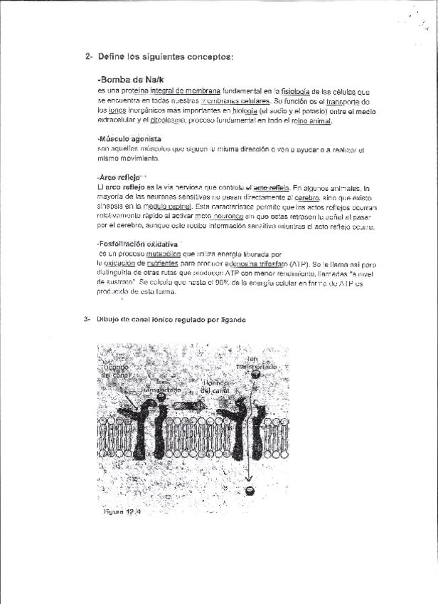 Miniatura del documento EXAMÉNES.pdf