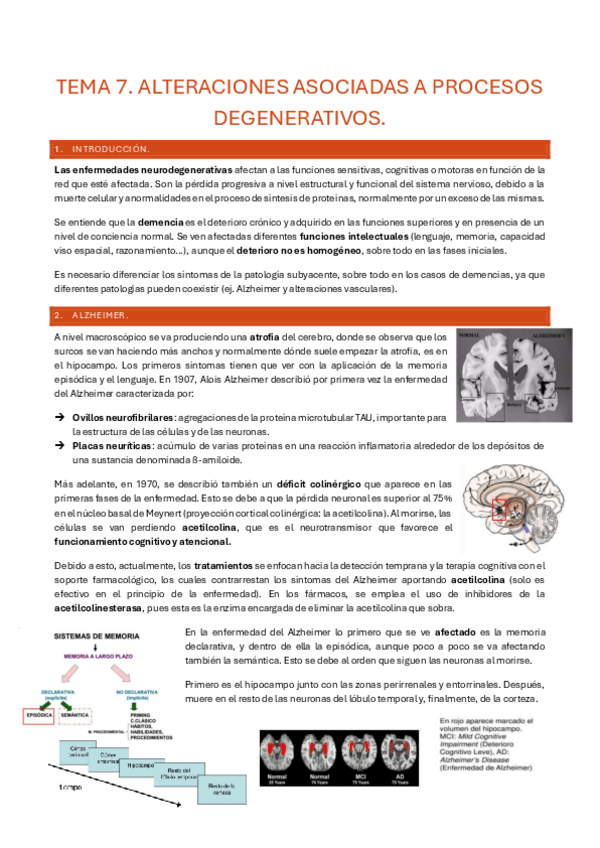 Miniatura del documento TEMA-7.pdf