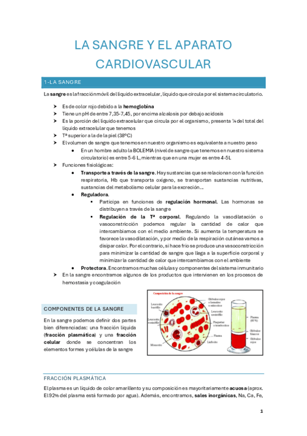 Miniatura del documento La-sangre-y-ap.-cardiovascular.pdf