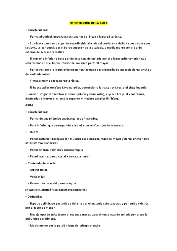 Miniatura del documento Constitución de la axila (anatomía).pdf