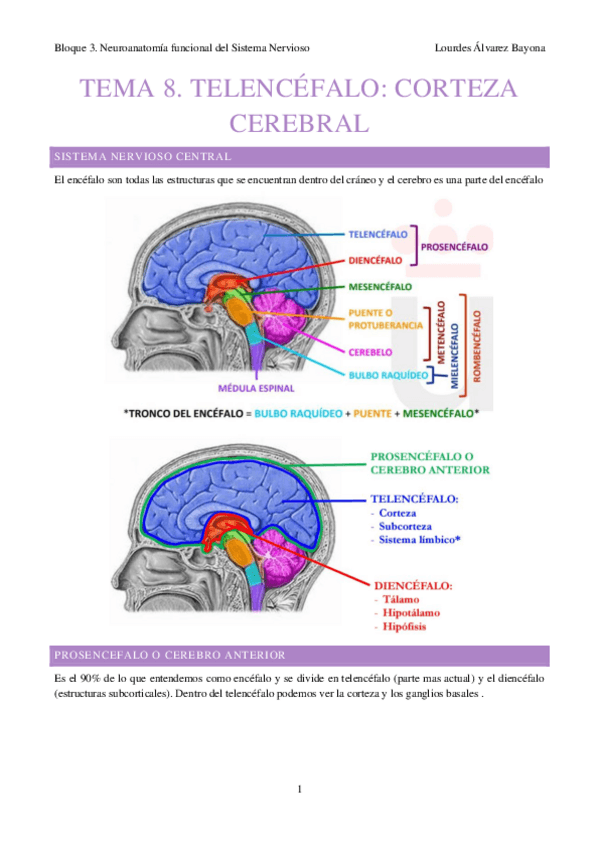 Miniatura del documento segundo-parcial-psicobio.pdf