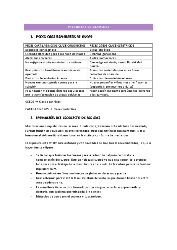 Miniatura del documento PREGUNTAS-DE-EXAMENES.pdf