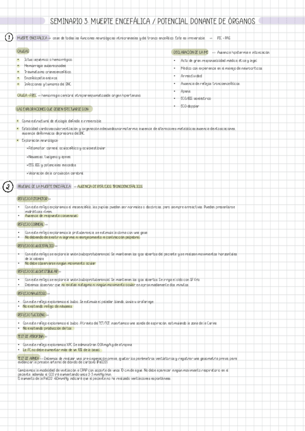 Miniatura del documento SEM-III-MUERTE-ENCEFALICA.pdf