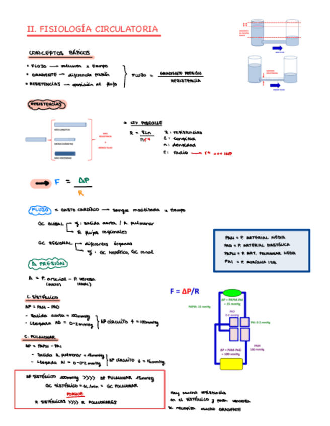 Miniatura del documento Fisiologia-cardiaca.pdf