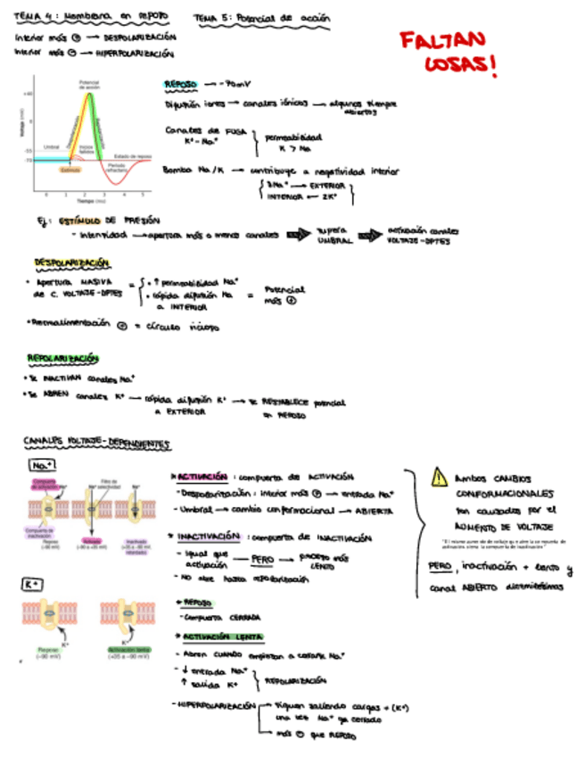 Miniatura del documento Resumen-importanteT4-7.pdf