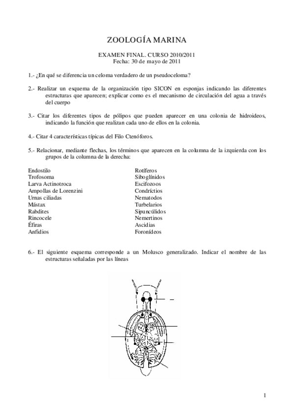 Miniatura del documento ZM-Examen-final.pdf