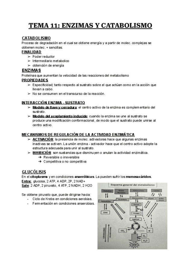 Miniatura del documento Bio-T11-2.pdf