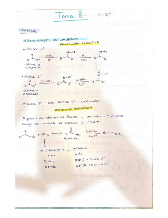 Miniatura del documento T8-Aminas.pdf