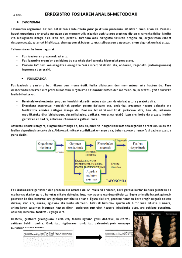 Miniatura del documento 6.-Erregistro-fosilaren-analisi-metodoak.pdf