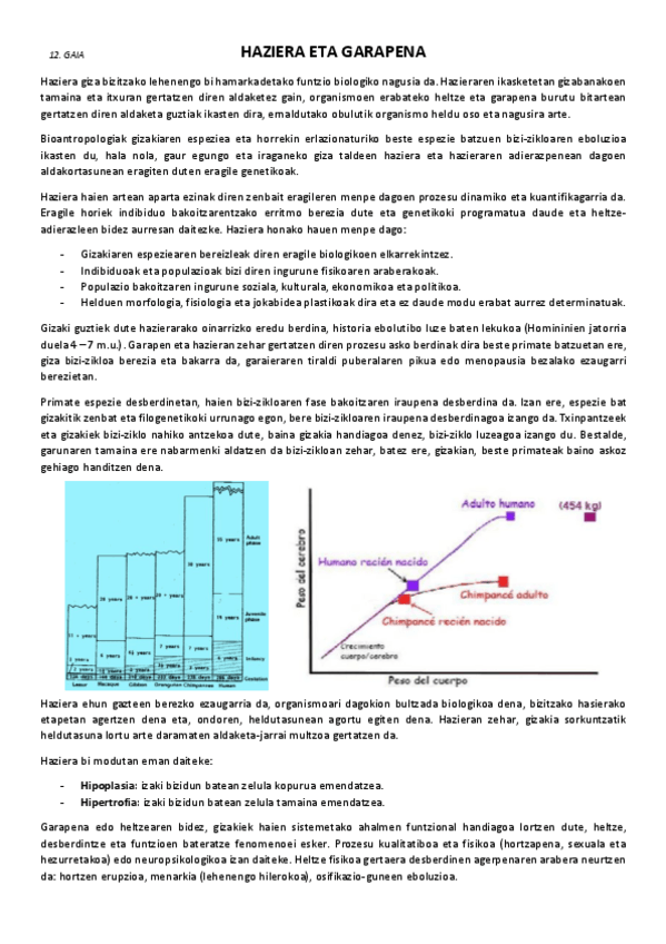 Miniatura del documento 12.-Haziera-eta-garapena.pdf