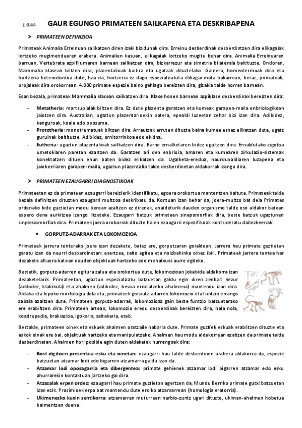 Miniatura del documento 1.-Gaur-egungo-primateen-deskribapena-eta-sailkapena.pdf