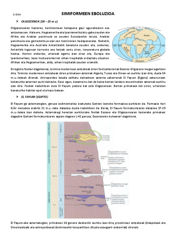 Miniatura del documento 3.-Simiformeen-eboluzioa.pdf