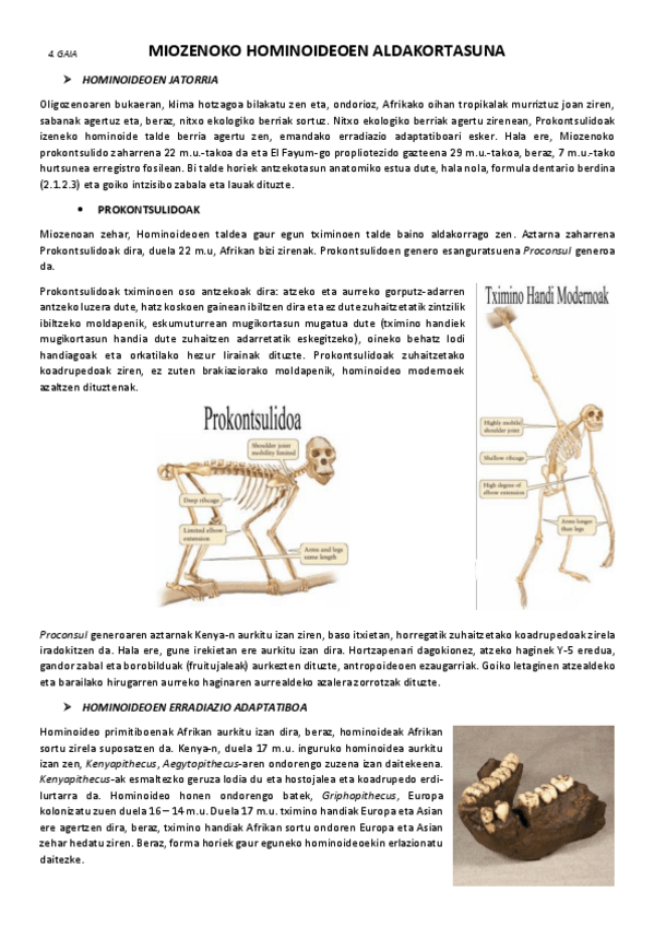 Miniatura del documento 4.-Miozenoko-hominoideoen-aldakortasuna.pdf