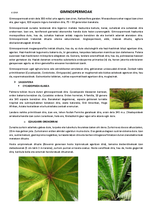 Miniatura del documento 4.-Gimnospermoak.pdf