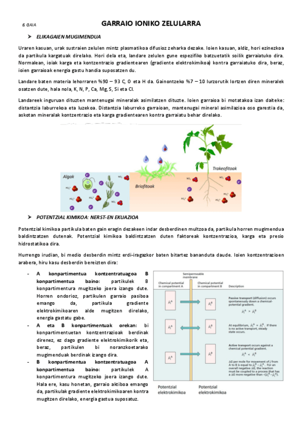 Miniatura del documento 6.-Garraio-ioniko-zelularra.pdf
