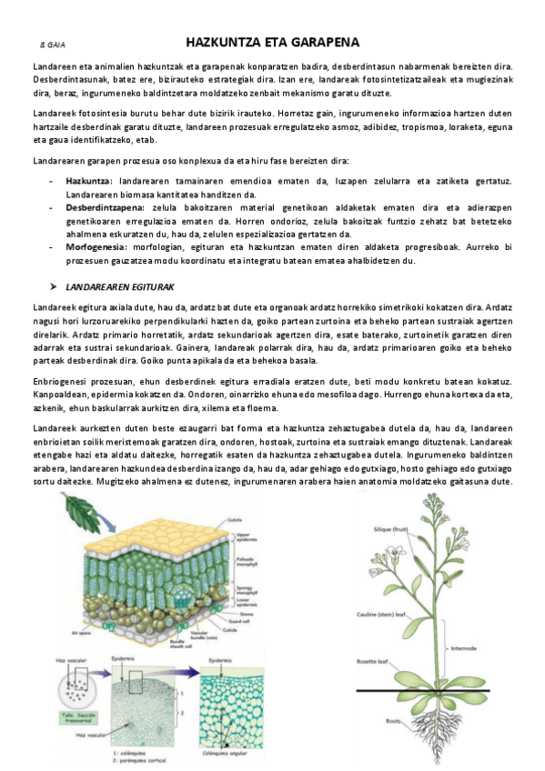 Miniatura del documento 8.-Hazkuntza-eta-garapena.pdf