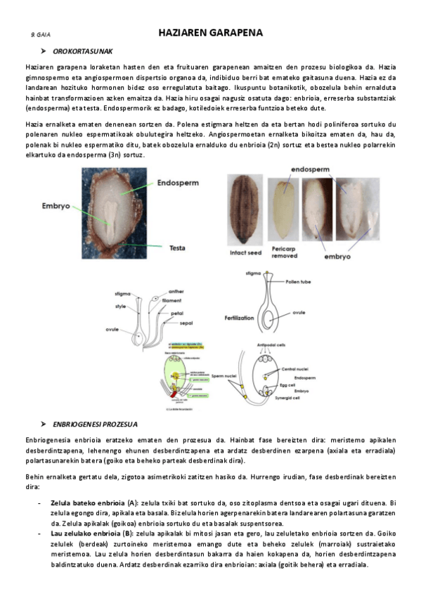Miniatura del documento 9.-Haziaren-garapena.pdf