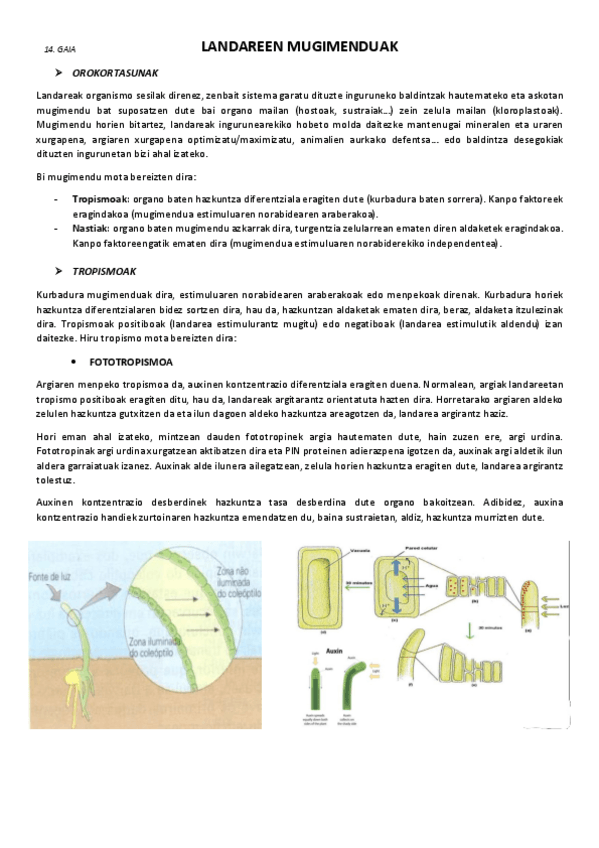 Miniatura del documento 14.-Landareen-mugimenduak.pdf